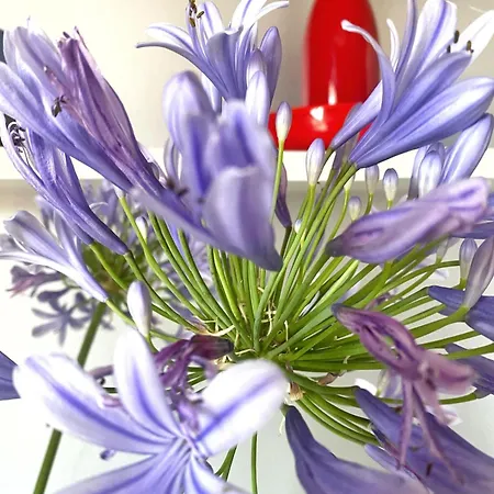 公寓 Studio_suite05